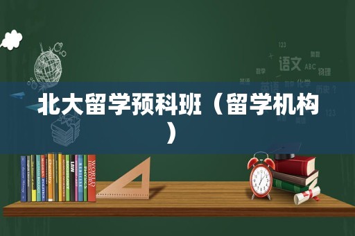 北大留学预科班（留学机构） 