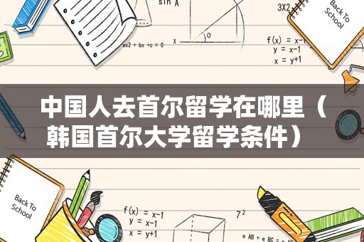 中国人去首尔留学在哪里（韩国首尔大学留学条件） 