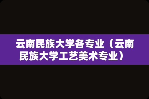 云南民族大学各专业（云南民族大学工艺美术专业） 