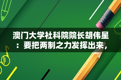 澳门大学社科院院长胡伟星：要把两制之力发挥出来，使大湾区发展上一个新台阶