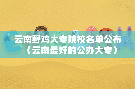 云南野鸡大专院校名单公布（云南最好的公办大专）