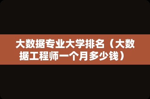 大数据专业大学排名（大数据工程师一个月多少钱） 