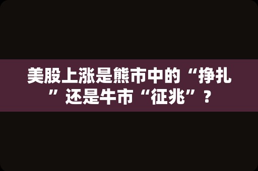 美股上涨是熊市中的“挣扎”还是牛市“征兆”？