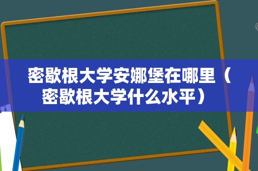 密歇根大学安娜堡在哪里（密歇根大学什么水平） 