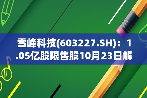 雪峰科技(603227.SH)：1.05亿股限售股10月23日解禁