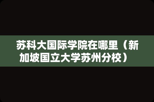 苏科大国际学院在哪里（新加坡国立大学苏州分校） 