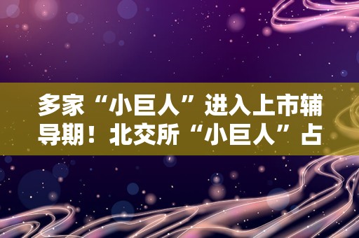 多家“小巨人”进入上市辅导期！北交所“小巨人”占比接近五成