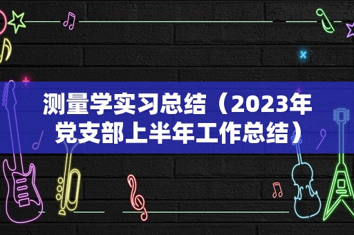 测量学实习总结（2023年党支部上半年工作总结）