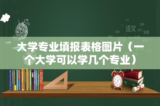 大学专业填报表格图片（一个大学可以学几个专业）