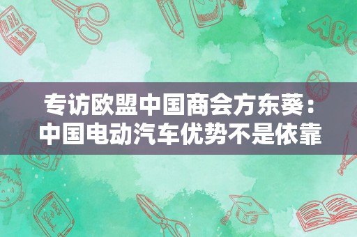 专访欧盟中国商会方东葵：中国电动汽车优势不是依靠“巨额补贴”