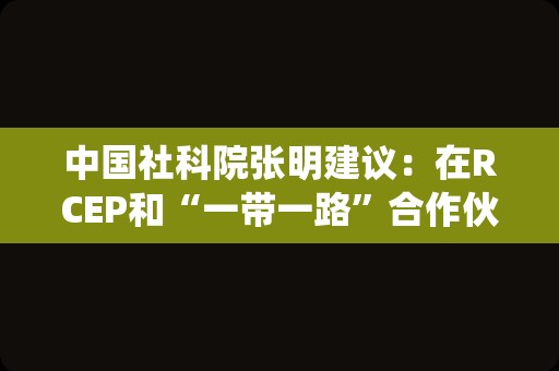 中国社科院张明建议：在RCEP和“一带一路”合作伙伴区域推广人民币支付清算系统