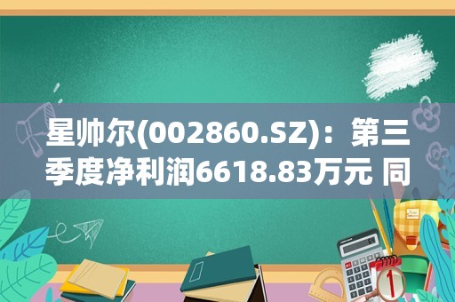 星帅尔(002860.SZ)：第三季度净利润6618.83万元 同比增长109.91%