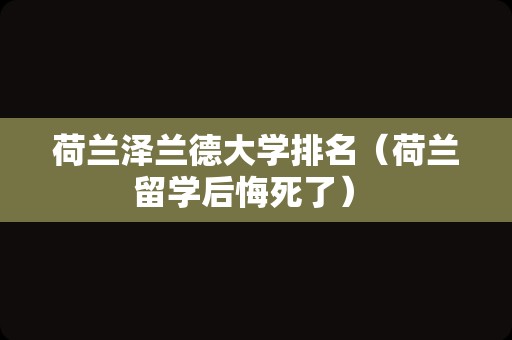 荷兰泽兰德大学排名（荷兰留学后悔死了） 