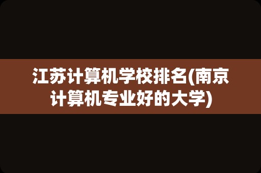 江苏计算机学校排名(南京计算机专业好的大学)