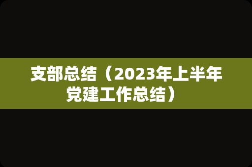 支部总结（2023年上半年党建工作总结） 