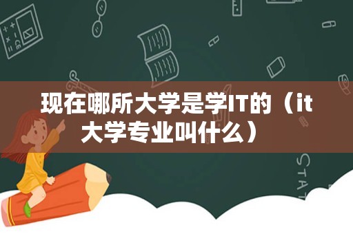 现在哪所大学是学IT的（it大学专业叫什么） 