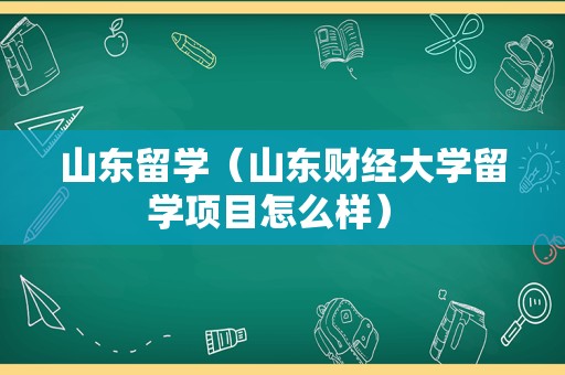 山东留学（山东财经大学留学项目怎么样） 