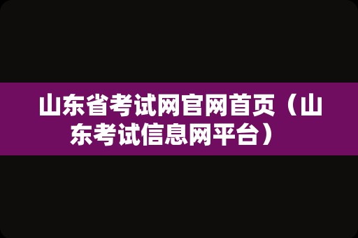 山东省考试网官网首页（山东考试信息网平台） 