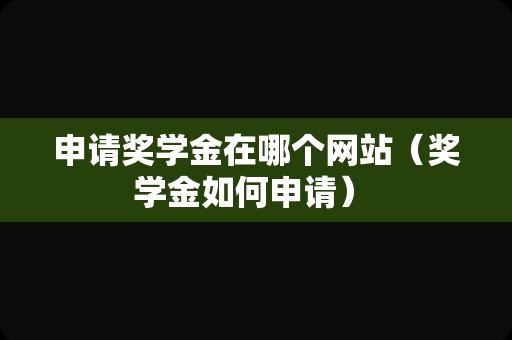 申请奖学金在哪个网站（奖学金如何申请） 