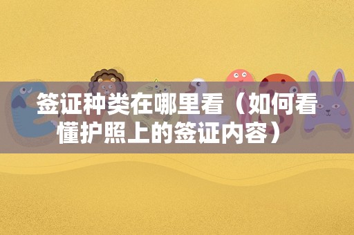 签证种类在哪里看（如何看懂护照上的签证内容） 