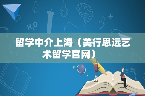 留学中介上海（美行思远艺术留学官网） 