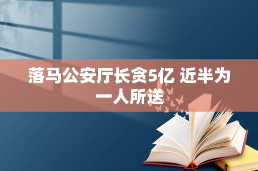 落马公安厅长贪5亿 近半为一人所送