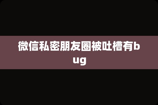 微信私密朋友圈被吐槽有bug