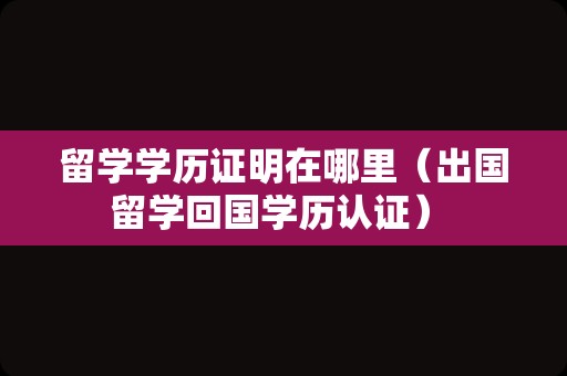 留学学历证明在哪里（出国留学回国学历认证） 