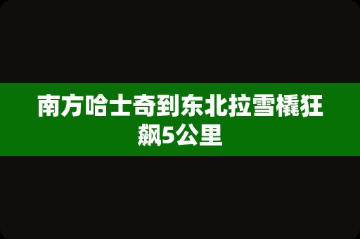 南方哈士奇到东北拉雪橇狂飙5公里