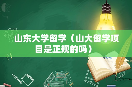 山东大学留学（山大留学项目是正规的吗） 