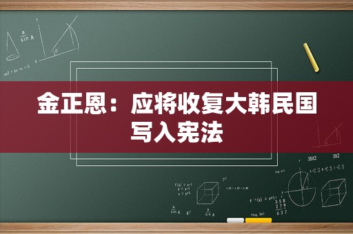 金正恩：应将收复大韩民国写入宪法