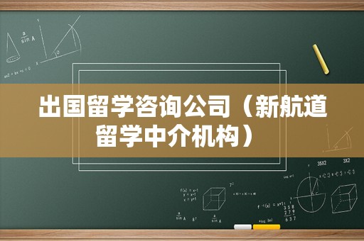 出国留学咨询公司（新航道留学中介机构） 