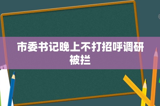 市委书记晚上不打招呼调研被拦