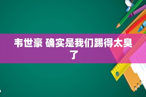 韦世豪 确实是我们踢得太臭了