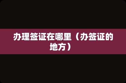 办理签证在哪里（办签证的地方） 