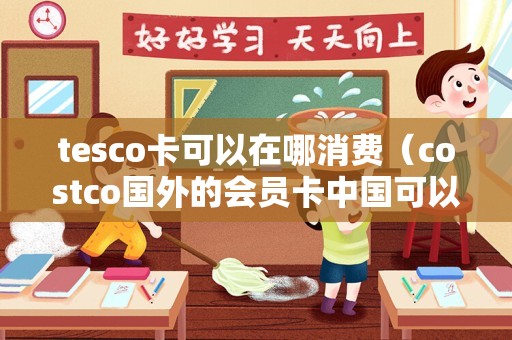 tesco卡可以在哪消费（costco国外的会员卡中国可以用吗） 