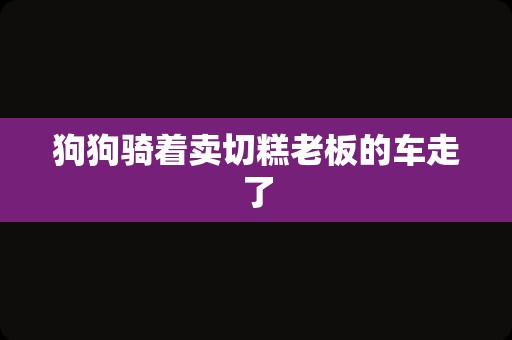 狗狗骑着卖切糕老板的车走了