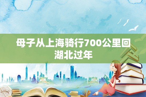 母子从上海骑行700公里回湖北过年