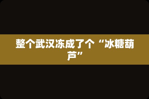 整个武汉冻成了个“冰糖葫芦”