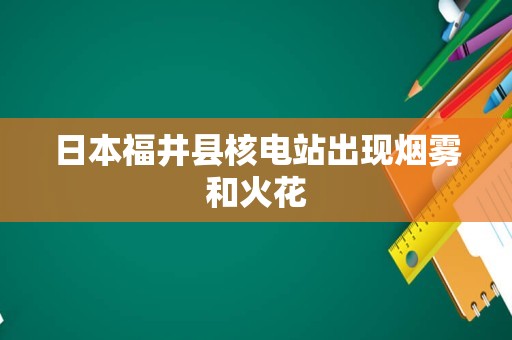 日本福井县核电站出现烟雾和火花