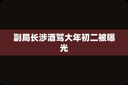 副局长涉酒驾大年初二被曝光