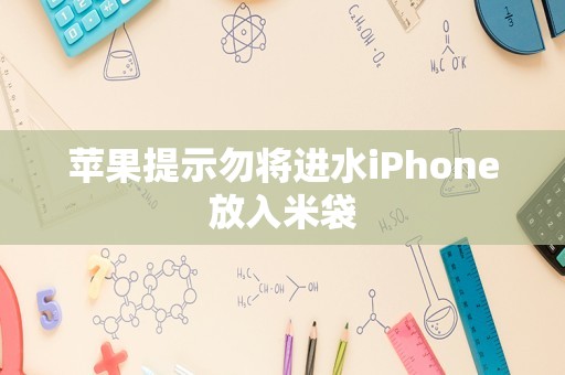 苹果提示勿将进水iPhone放入米袋