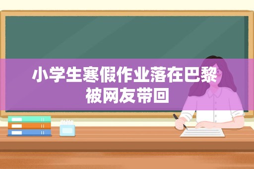 小学生寒假作业落在巴黎 被网友带回