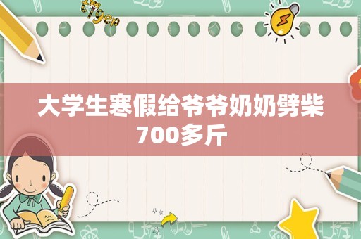 大学生寒假给爷爷奶奶劈柴700多斤