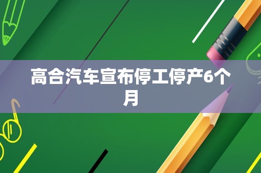 高合汽车宣布停工停产6个月