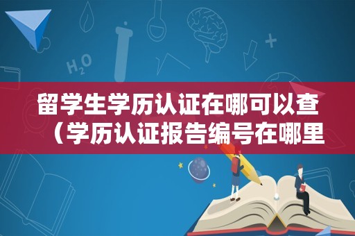 留学生学历认证在哪可以查（学历认证报告编号在哪里查） 