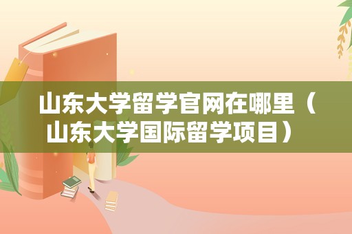 山东大学留学官网在哪里（山东大学国际留学项目） 