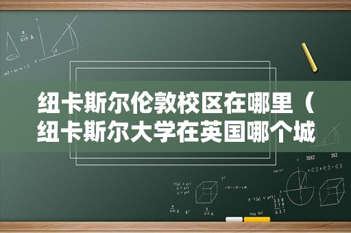 纽卡斯尔伦敦校区在哪里（纽卡斯尔大学在英国哪个城市） 