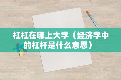 杠杠在哪上大学（经济学中的杠杆是什么意思） 