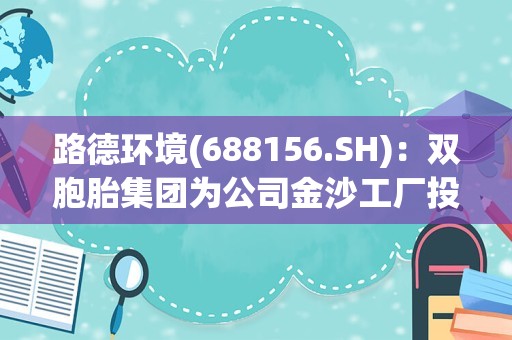 路德环境(688156.SH)：双胞胎集团为公司金沙工厂投产后新开发客户之一